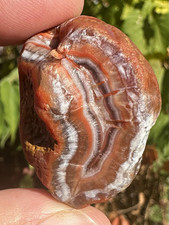 1.8oz Lake Superior Agate Bright Beauty picture