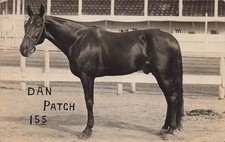 RPPC Dan Patch Horse Harness Racing Race Lexington Kentucky Photo Postcard I21 picture