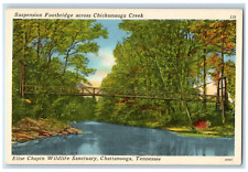 c1940 Elise Chapin Wildlife Sanctuary Footbridge Chattanooga Tennessee Postcard picture