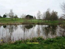 Photo 12x8 Resting place of lost golf balls Whitegate Pond on Vale Royal g c2021 picture