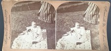 Keystone Stereoview 339 Josephine's Kitten Cat Antique Stereo View Card picture