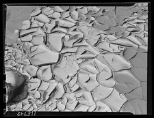 Photo:1942 Mud Cracks Texture Background Filmstrip Titles Abstract Pattern picture