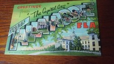 Greetings from Tallahassee Capital City Postcard 1930s + #T24 Curt Teich & Co. picture