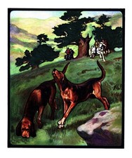 Antique Bloodhound Print 1910 Edwin Noble Bloodhound Illustration Art 6423k picture