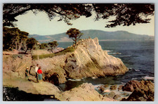 c1960s Seventeen Mile Drive Monterey California Midway Point Postcard picture