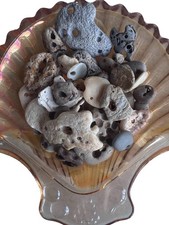 44 Natural Hag Stones| Genuine Holy beach Stones| Craft Lot,Wicca,Pagan C picture