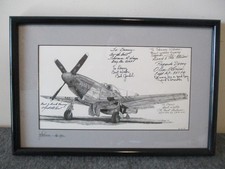 WWII P-51D MUSTANG 