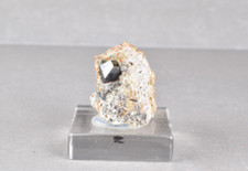 Anatase on Matrix from Pakistan  2.5 cm  # 20063 picture