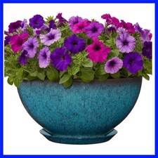 Rosie Planter Bowl, with Drainage and Saucer, 10” Indigo Speckle picture