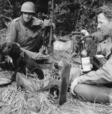 WW2 WWII Photo US Army 2nd Ranger Battalion Normandy 1944  World War Two  / 1858 picture
