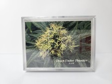 1996 InLine Hemp Cards Serial Numbered The Marijuana Stories Factory Sealed Set picture