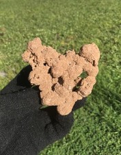 Rare 93 Gram Heart Shape Fulgurite Lightning Stone Florida 93g Rough Raw Mineral picture