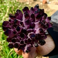 500-600G Large Crystal Amethyst Phantom Cluster Healing Mineral Rocks Specimens picture
