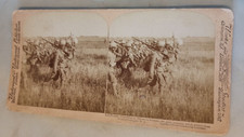 Stereoscope photo Military Lord Robert Irrestibles troop Pretoria British Empire picture