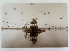 Waswo X. Waswo Signed Sepia Toned Photograph “A Flight of Birds Jaisalmer” India picture