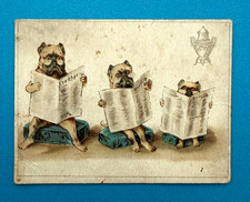 VINTAGE DILWORTH'S COFFEE ADVERTISING CARD w/3 DOGS READING NEWSPAPER picture