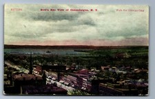 C.1910 BIRD'S EYE VIEW CANANDAIGUA, NY, ZIMMERMAN Postcard P16 picture