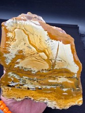 Owyhee Gem Picture Jasper Old Stock Raw/Faced picture