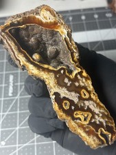 Carnelian Agatized Coral  Botryodial Geode Polished Uv Reactive Agate picture