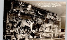TAVERN TAXIDERMY medford wi c1940 postcard wisconsin real photo rppc saloon picture