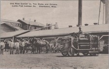Ross Carrier Mules Lamb Fish Lumber Co Charleston Mississippi MS 1910s Postcard picture