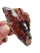 Laguna Lace Agate Slab Mexico 30.1 grams picture