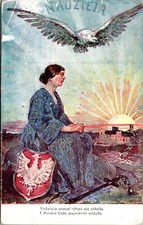 1920 Polish Allegory Woman Eagle Shield Vintage Postcard 4P24-16 picture