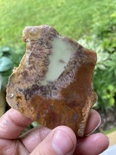 Beautiful Sagenite Slab 46 Grams picture