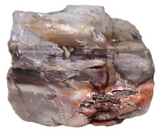 Prehistoric Paleo-American Petrified Wood Stone Multi Tool Northern AZ 288 picture