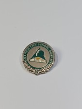 Anaheim City School District 10 Year Employee Service Award Lapel Pin California picture
