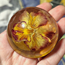 Vintage Rockwood Girl Scouts USA Resin Paperweight with Embedded Flower picture