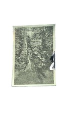 Mint Germany WW2 RPPC Postcard Waffen SS Nord Division “Angriff im Urwald” picture