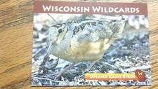 WISCONSIN WILDCARDS, AMERICAN WOODCOCK, UPLAND GAME BIRDS, 3-1/2