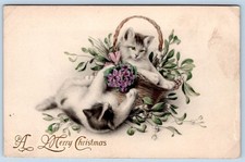 1907-10's A MERRY CHRISTMAS PLAYFUL CATS KITTENS BASKET FLOWERS AUSTRIA POSTCARD picture