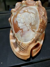  Vintage Italian Cypraecassis rufa (Red Helmet shell) With CAMEO carving 1940's  picture
