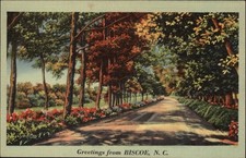 Biscoe NC North Carolina Tree Lined Roadway c1930-40s Vintage Postcard picture