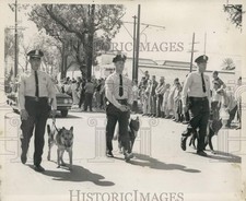 1961 Press Photo New Orleans Police March in Parade with K-9 Cops - noc19496 picture