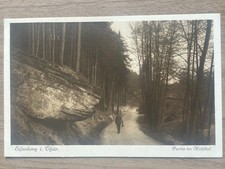 Vintage Postcard Eisenberg i Thueringen Partie im Muehltal Forest Germany RPPC picture
