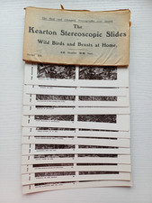 Antique Kearton Stereoscopic Slides Nature Study Complete Set Envelope series 3. picture