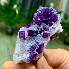 34G Rare blue purple dual color window frame fluorite mineral crystal/Zhejiang picture