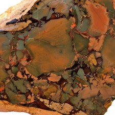 Whisky Creek Brecciated Jasper Slab – Green Smoky Red Globs – Idaho Owyhee picture