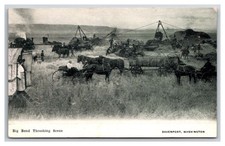 Big Bend Wheat Threshing Outfit DAVENPORT WA Farming agriculture implement picture