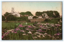 c1940 Scenic View Flowers Garden Across Meadow Chatham Massachusetts MA Postcard picture