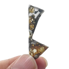 7.5CT SEYMCHAN pallasite meteorite slice METEORITE/USA QA851 picture