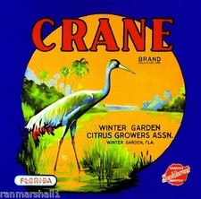 Winter Garden Florida Crane - Blue Orange Citrus Fruit Crate Label Art Print picture