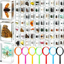 70 Pcs Insect in Resin Specimen with 7 Magnifying Glass Various Bugs Collection picture