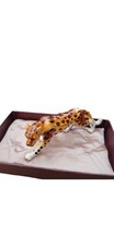 NOBILITY BEJEWELED CHEETAH LEOPARD TRINKET / PILL BOX 3861 NEW IN BOX picture