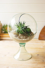 Round Glass Store Display Unique Piece - Gives Natural Touch To Any Space picture