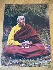 RARE WONDERFUL PHOTO DILGO KHYENTSE RINPOCHE HOLDING A CAT 4