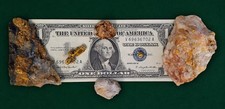 Very Rare North Carolina Native Gold Specimen Collection - 6 Locations-Nuggets picture